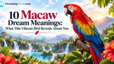 Macaw Dream Meaning